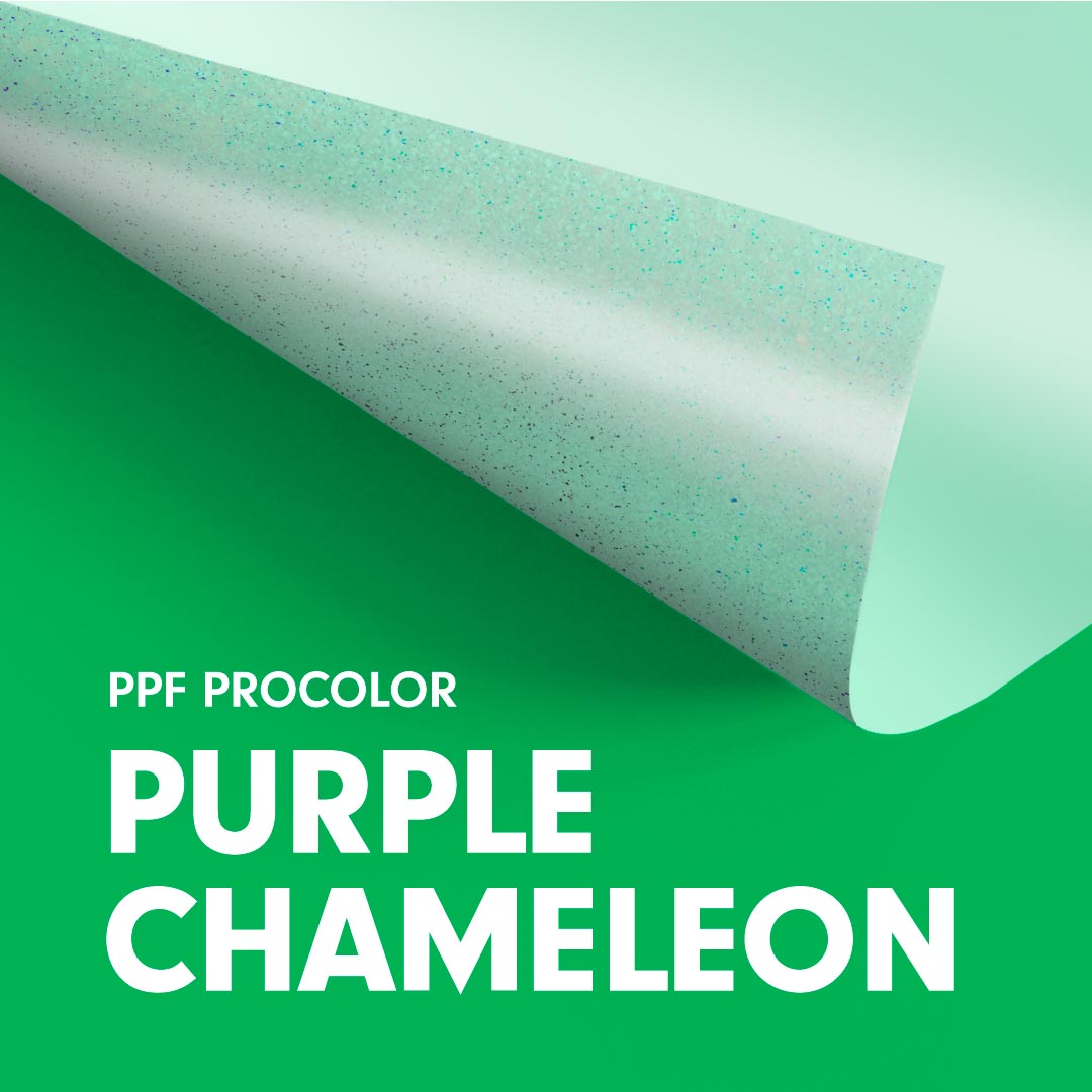Purple Chameleon
